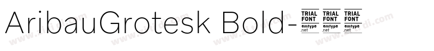 AribauGrotesk Bold字体转换